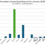 中国对加拿大油菜籽出口的关税动态及其影响