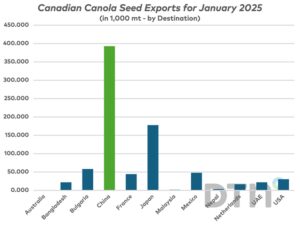 中国对加拿大油菜籽出口的关税动态及其影响